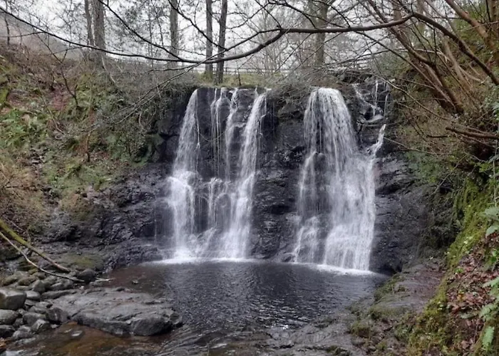 The Haw